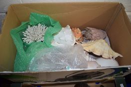 BOX CONTAINING VARIOUS SEA SHELLS