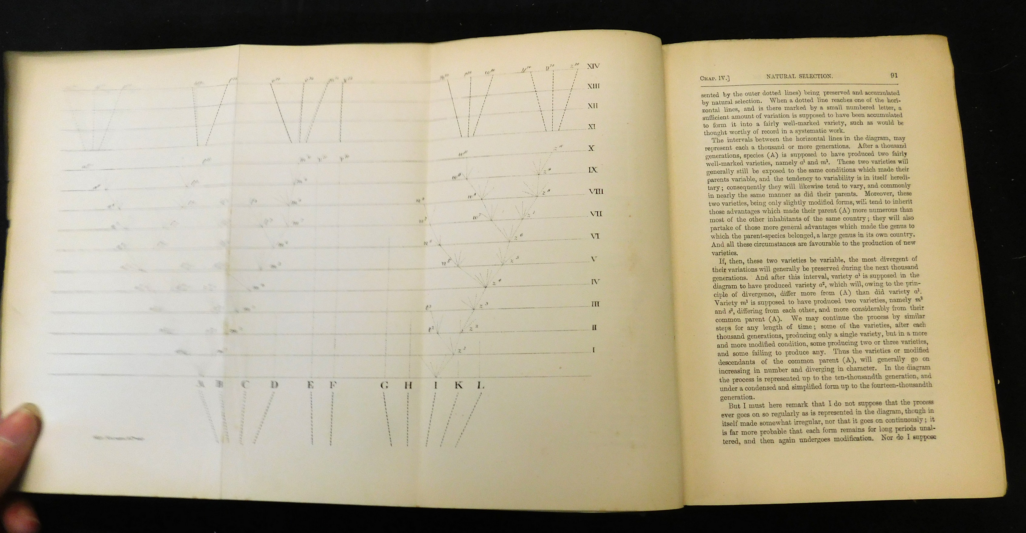 CHARLES DARWIN: THE ORIGIN OF SPECIES BY MEANS OF NATURAL SELECTION..., London, John Murray, 1885, - Image 2 of 3