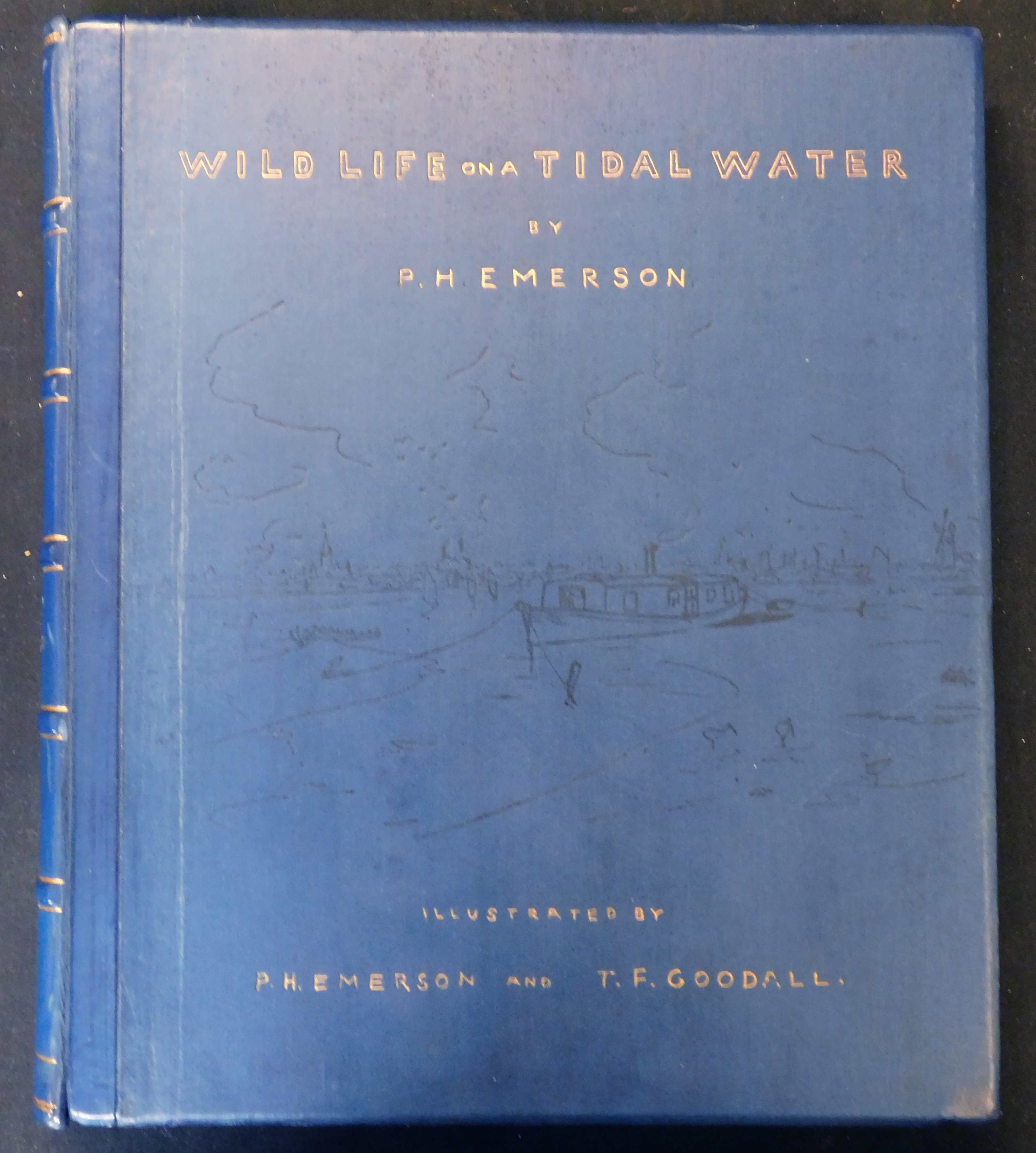 PETER HENRY EMERSON: WILD LIFE ON A TIDAL WATER, THE ADVENTURES OF A HOUSE-BOAT AND HER CREW, ill - Image 2 of 8