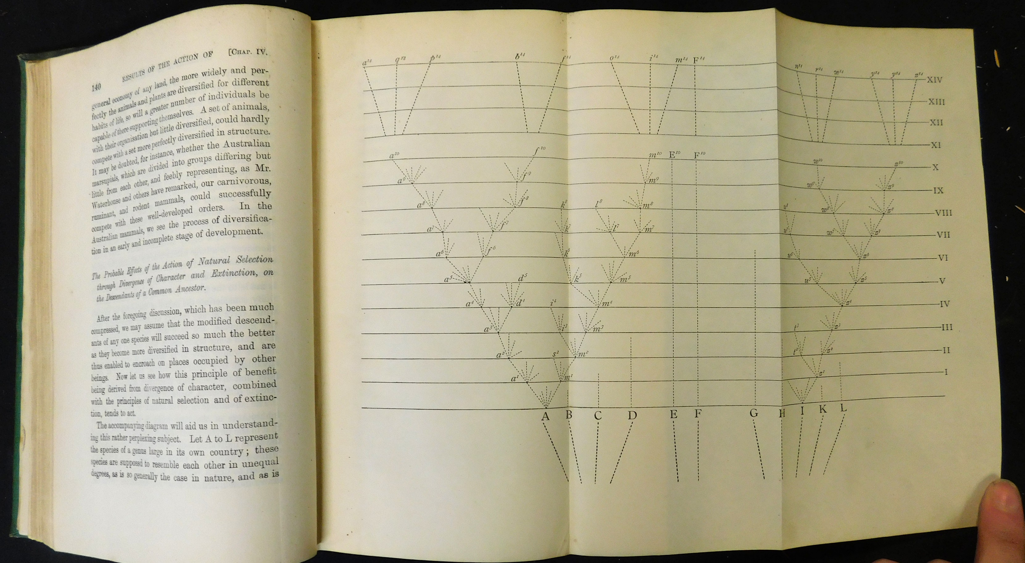 CHARLES DARWIN: THE ORIGIN OF SPECIES BY MEANS OF NATURAL SELECTION..., London, John Murray, 1900, - Image 3 of 3