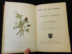 CAROLINE CATHERINE, LADY WILKINSON: WEEDS AND WILDFLOWERS, THEIR USES, LEGENDS AND LITERATURE,