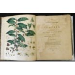 JOHN COAKLEY LETTSOM: THE NATURAL HISTORY OF THE TEA-TREE WITH OBSERVATIONS ON THE MEDICAL QUALITIES