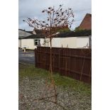 METAL GARDEN SCULPTURE FORMED AS A TREE, APPROX 2.5M HIGH