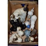 BOX CONTAINING VARIOUS CERAMIC MODELS OF CATS INCLUDING A DOULTON GROUP OF PEKINESE CATS