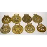 Small plastic tray containing quantity of horse brasses