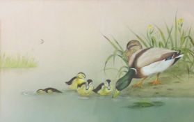 J A Morris (20th century), Mallard with young, watercolour and gouache, signed and dated 86 lower