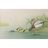 J A Morris (20th century), Mallard with young, watercolour and gouache, signed and dated 86 lower