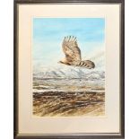 Keith Brockie, Eagle in flight over mountain landscape, watercolour, signed and dated 95 lower