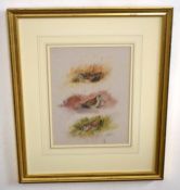 Ian Bowles (born 1947), "Pheasant", "Grouse", "Partridge" and "Snipe", set of four watercolours, all