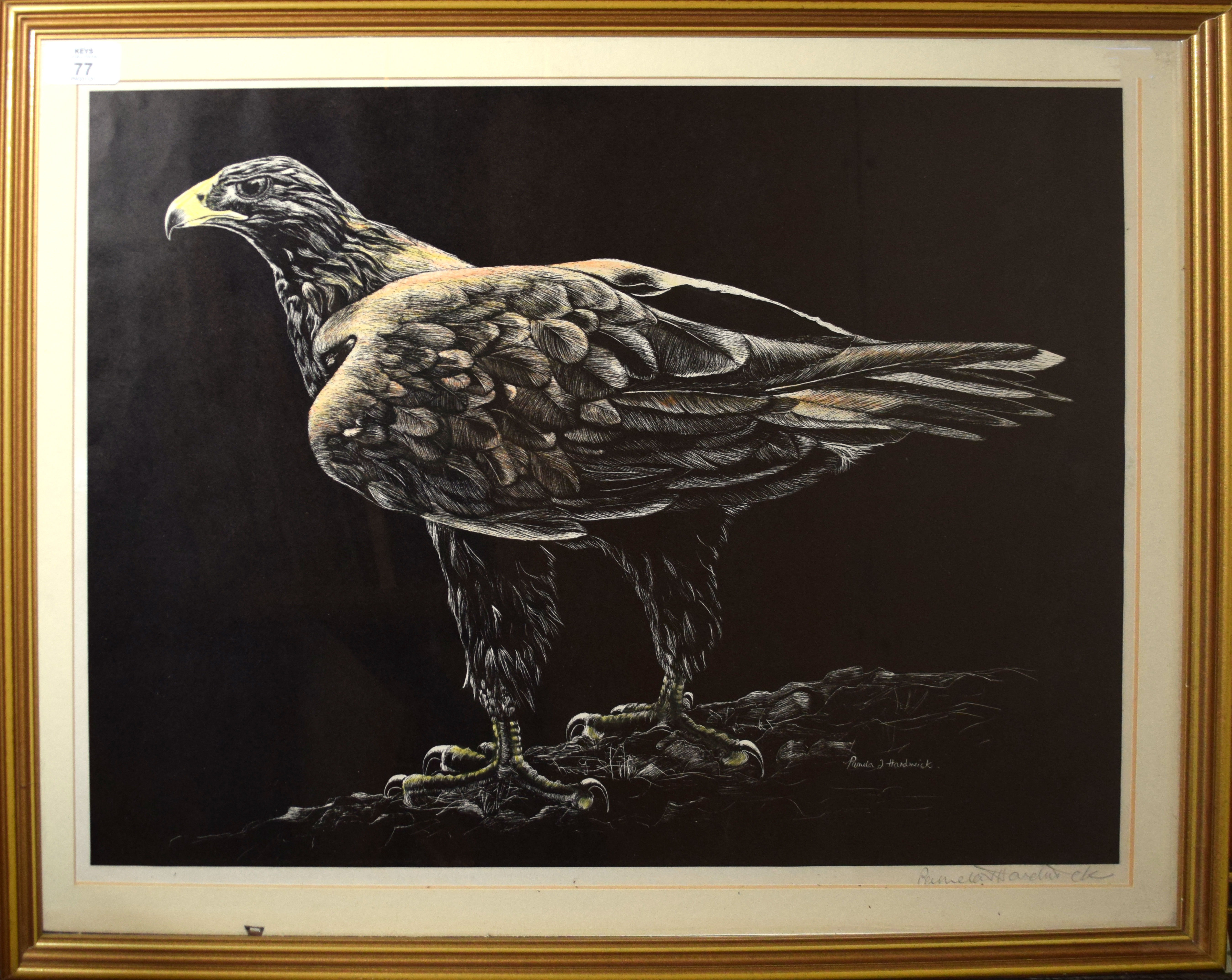 Pamela Hardwick, Golden Eagle, coloured print, signed in pencil to lower right margin, 39 x 52cm
