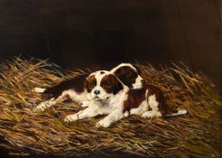 Stephen Clark, Puppies in a barn, oil on canvas, signed lower left, 29 x 39cm