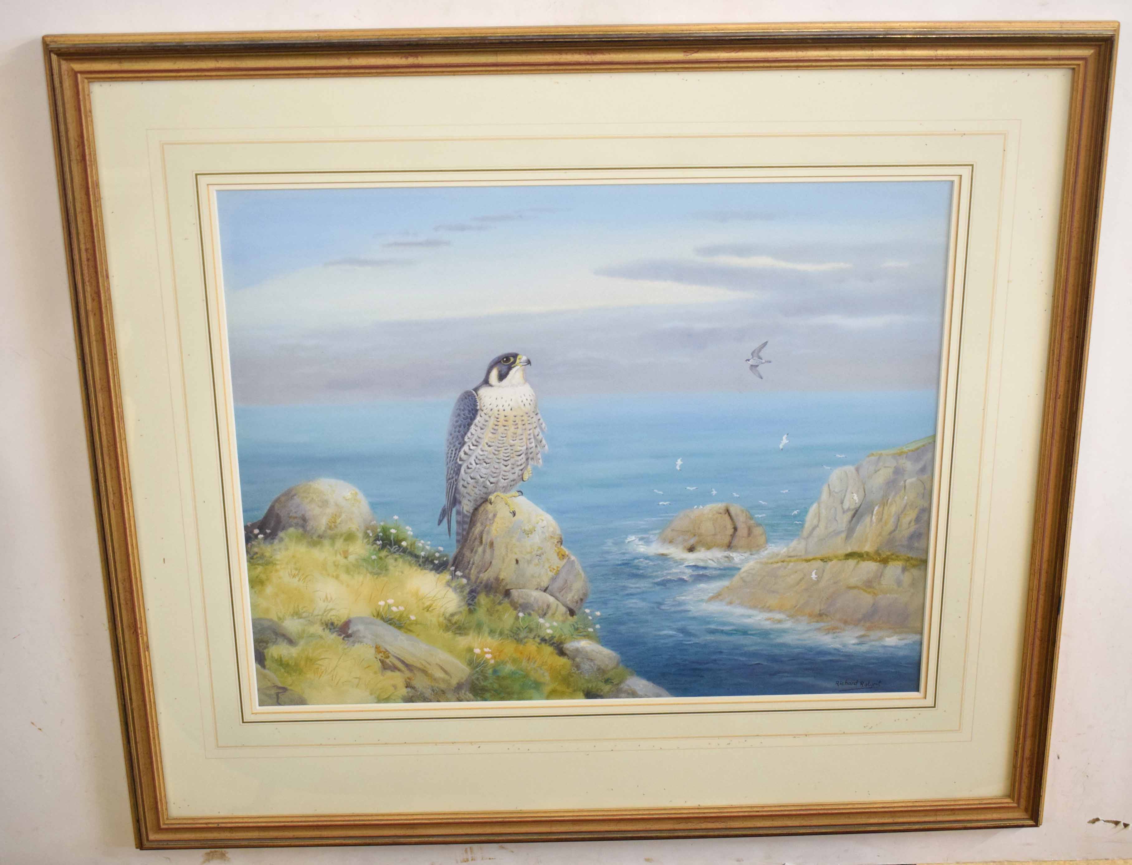 AR Richard Robjent (Born 1937), Peregrine Falcon in Coastal Landscape, watercolour, signed lower