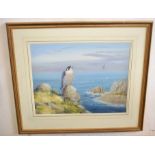 AR Richard Robjent (Born 1937), Peregrine Falcon in Coastal Landscape, watercolour, signed lower