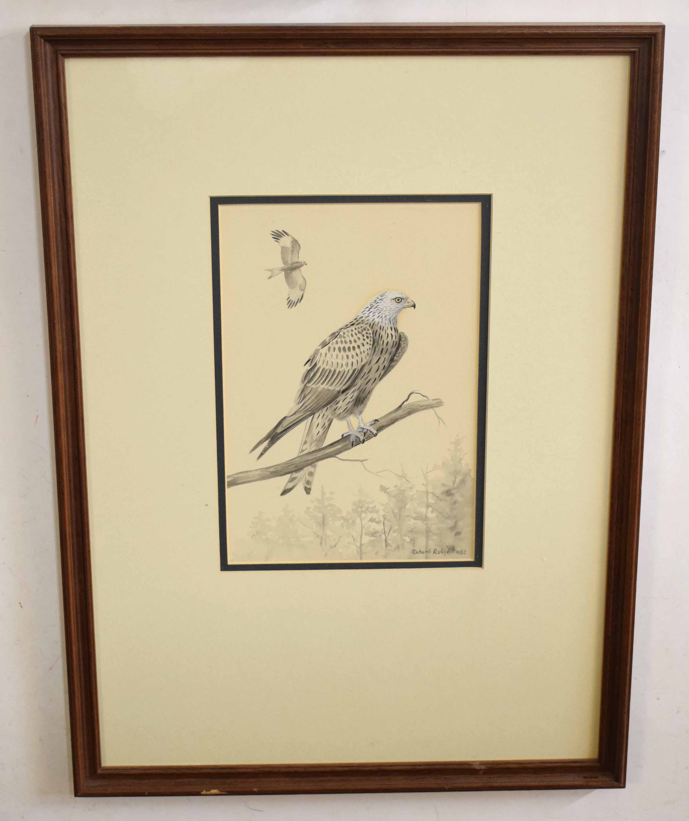 AR Richard Robjent (Born 1937), Bird of Prey, monotone watercolour, signed and dated 1982 lower