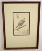 AR Richard Robjent (Born 1937), Bird of Prey, monotone watercolour, signed and dated 1982 lower