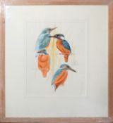 Keith Brockie, Kingfishers, watercolour, signed and dated 11/2/94, 30 x 24cm