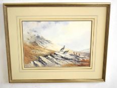 AR Berrisford Hill (20th Century), Morning Scene - Ptarmigan, watercolour, signed lower right, 25