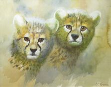 Clifford Charles Turner (1920-2018), Cheetah cubs, watercolour, signed lower right, 26 x 33cm