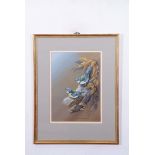 Terence James Bond (born 1946), "Pair of blue titmice", watercolour, signed and dated 73 lower