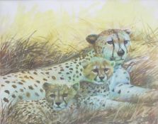 Clifford Charles Turner (1920-2018), Cheetah and cubs, watercolour, signed lower right, 21 x 26cm