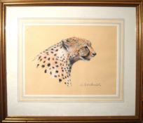 Camilla Edwards, Cheetah head, pastel, signed lower right, 30 x 40cm