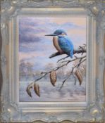 Mark Chester, "Autumn rest - Kingfisher", acrylic, signed lower right, 24 x 19cm