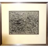 Eric Hosking OBE, "Little Ringed Plover", photograph published 1951, signed in pencil to mount, 29 x