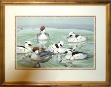 Trevor Boyer, Ducks, watercolour and gouache, signed and dated 87 lower right, 26 x 40cm