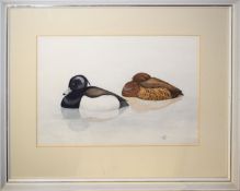 Geoff Trinder, Ducks, watercolour, signed and dated 1981, 25 x 37cm, together with a further pen,