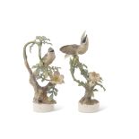 Pair of Royal Worcester bird groups modelled by Dorothy Doughty, one with the Lesser Whitethroat and