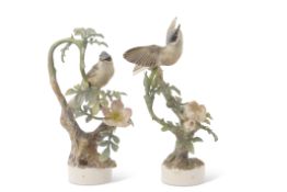 Pair of Royal Worcester bird groups modelled by Dorothy Doughty, one with the Lesser Whitethroat and