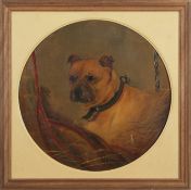 Attributed to George Earl (1824-1908), Dog study, oil on canvas, 45cm diam