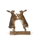 Taxidermy uncased pair of boxing Hares on wooden base