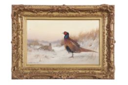 Colin W Burns (born 1944), Male and female pheasant in winter landscape, oil on board, signed