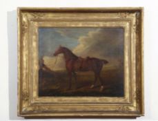 Robertson (19th century), Horse in landscape, oil on canvas, 42 x 52cm