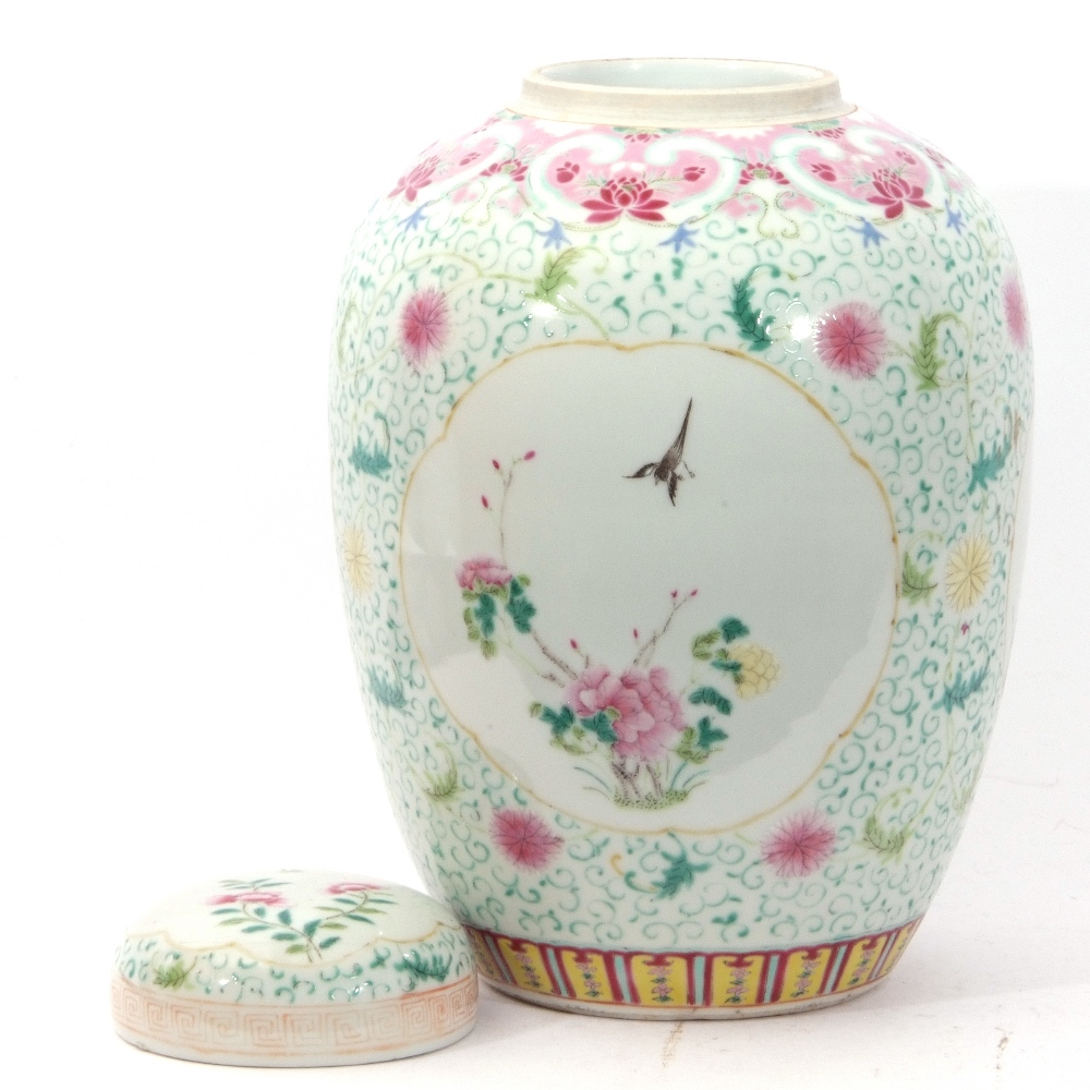 Large Chinese ginger jar and cover in famille rose decoration with a panel with two birds on a - Image 7 of 7