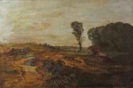 James Peel (1811-1906), Extensive landscape, oil on canvas, signed lower left, 34 x 51cm, unframed