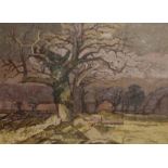 Keith Johnson, Landscape studies, group of five oils on board, some signed, assorted sizes (5)