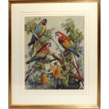 Robert Kilpatrick, Parrots, watercolour, signed lower left, 45 x 37cm