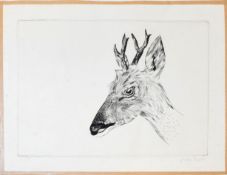 AR Joseph Hecht (1891-1951), Deer head, black and white etching, signed lower right and numbered 6/