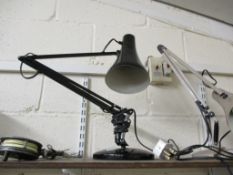 ANGLEPOISE LAMP