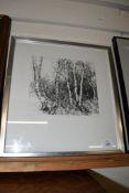 MODERN SIGNED ETCHING “SILVER BIRCHES”