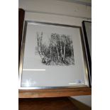 MODERN SIGNED ETCHING “SILVER BIRCHES”