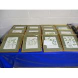 QUANTITY OF PRINTS OF WILD FLOWERS, ALL IN GILT WOODEN FRAMES (16)