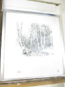 SIGNED ENGRAVING “SILVER BIRCHES”