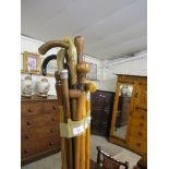 BUNDLE OF VARIOUS HORN HANDLED AND OTHER WALKING CANES, SOME WITH HALLMARKED SILVER MOUNTS