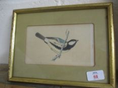 SMALL PRINT OF A GREAT TIT