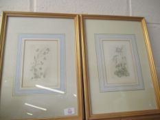 PAIR OF FLORAL PRINTS IN GILT FRAMES