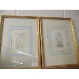 PAIR OF FLORAL PRINTS IN GILT FRAMES