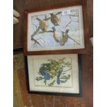 WATERCOLOUR OF BIRDS IN WOODEN FRAME TOGETHER WITH A FURTHER WATERCOLOUR